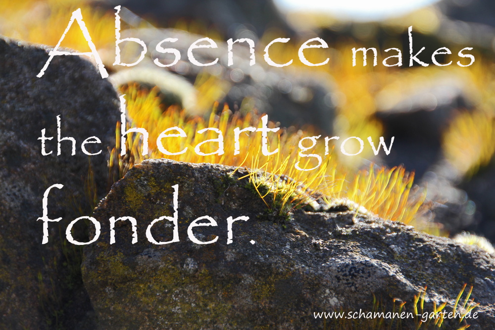 Absence makes your heart grow fonder