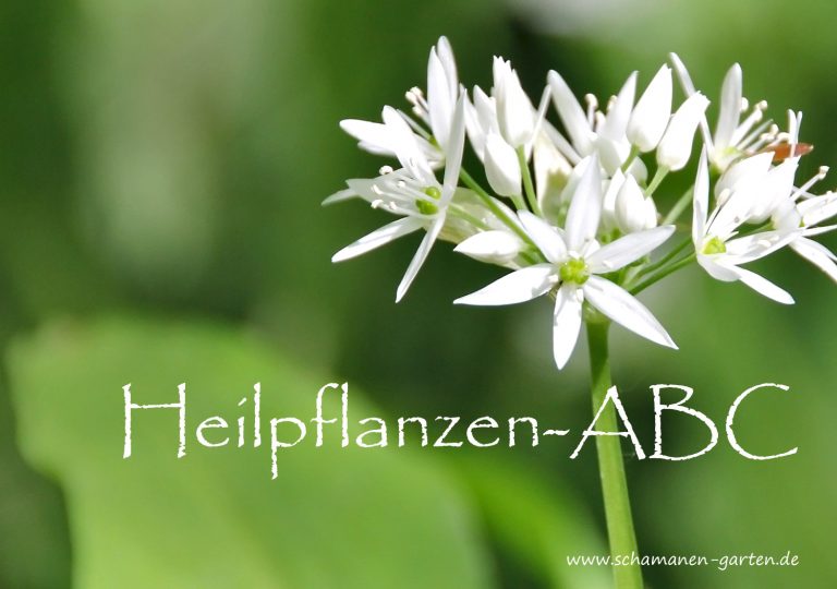 Gründonnerstagssuppe: Neun Kräuter für den Frühling