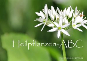 Heilpflanzen-Alphabet, Heilkräuter-ABC