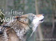 Krafttier Wolf