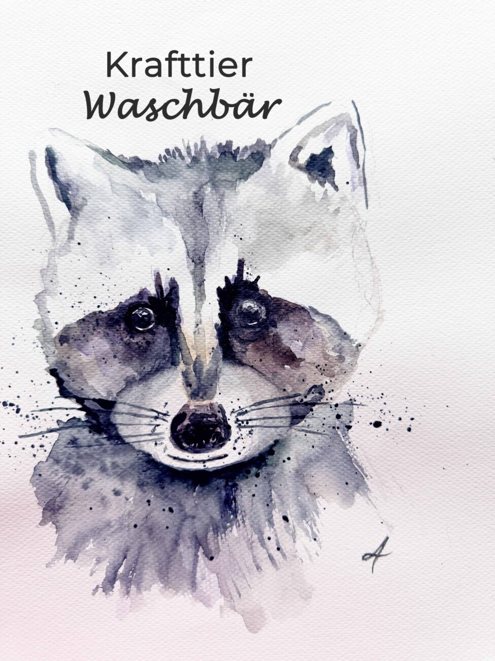 Krafttier Waschbär, spirituelle Bedeutung